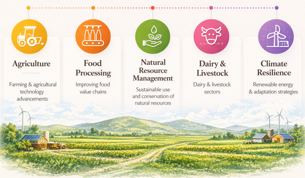 Core sectors promoted by BAIF CARES